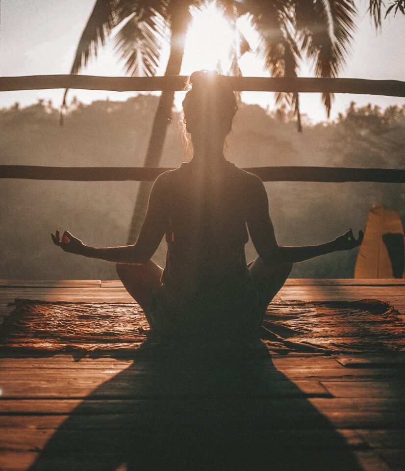 Wellness & Care